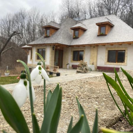 Casa Cu Sindrila Villa Vălenii de Munte Екстериор снимка