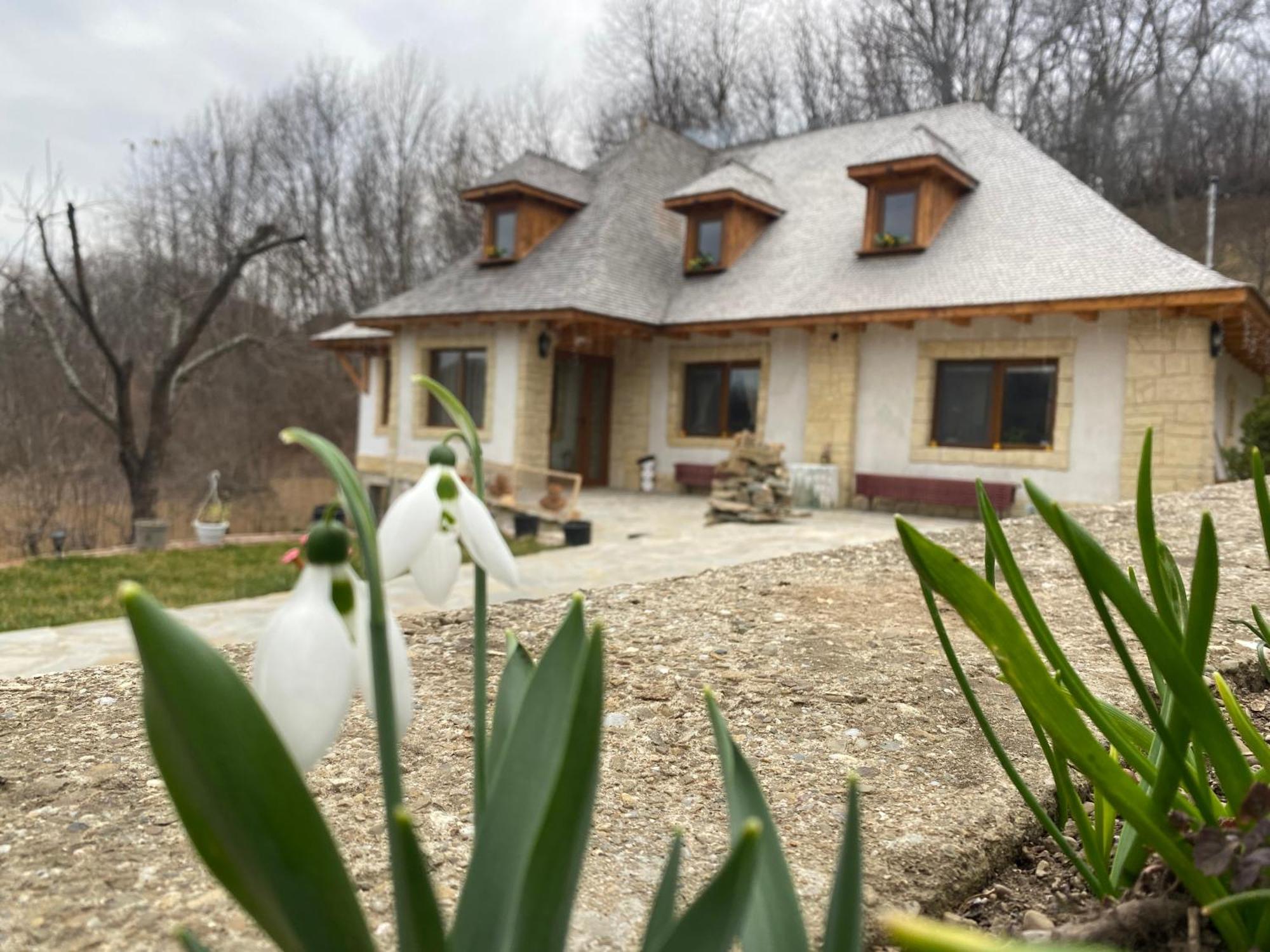 Casa Cu Sindrila Villa Vălenii de Munte Екстериор снимка